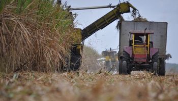 La industria presentó la zafra y detalló los números para cubrir la demanda de bioetanol y azúcar