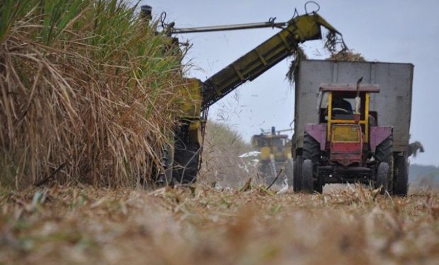 La industria presentó la zafra y detalló los números para cubrir la demanda de bioetanol y azúcar