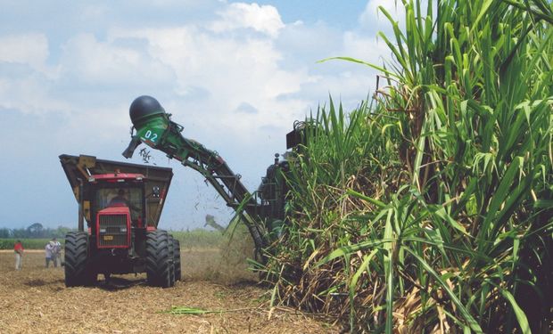 A pesar de la incertidumbre por la Ley de Biocombustibles, el NOA comenzará la zafra y producirá bioetanol