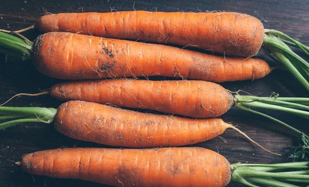 La problemática de descarte de vegetales no solamente afecta a las demás provincias productoras de zanahoria, también sucede en otras regiones con papa, remolacha y batata.