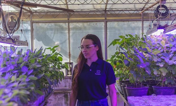 De chica vivió cómo el clima afecta al campo y desarrolló un producto inédito: acaban de lanzar la primera patente