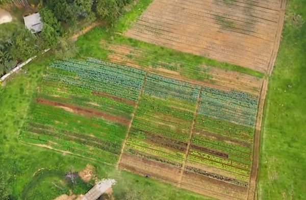 sitio-zeca-pagodinho-xerem-agro-urbano