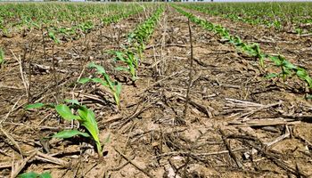 Inmobiliario rural: Córdoba aumenta el impuesto un 30 % y hay descuento por trabajar en campo propio