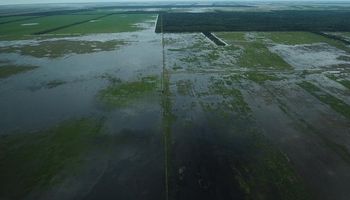 Norte de Santa Fe: se invertirán más de $750 millones para aliviar las inundaciones 