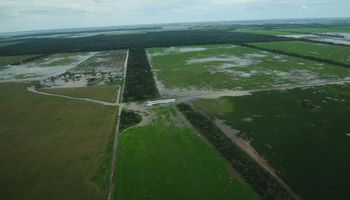 La cadena de la soja manifestó su preocupación por las inundaciones