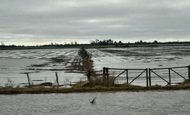 "Es muchísimo el daño en una época donde no es normal que haya inundaciones", señaló Príncipe.