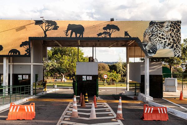 zoologico
