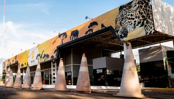 Gripe aviária: zoológico de Brasília é fechado, Seara abate 67 mil frangos e Brasil investiga nove casos