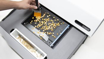 Aplican IA al agro y destacan que el potencial es "impensado": por qué podrían terminar pagando más en el mercado de granos gracias a esta tecnología