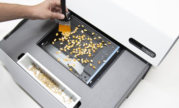 Aplican IA al agro y destacan que el potencial es "impensado": por qué podrían terminar pagando más en el mercado de granos gracias a esta tecnología