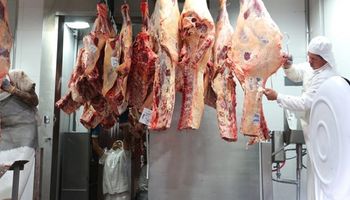 Las exportaciones agroindustriales crecieron 6.405 millones de dólares en Buenos Aires