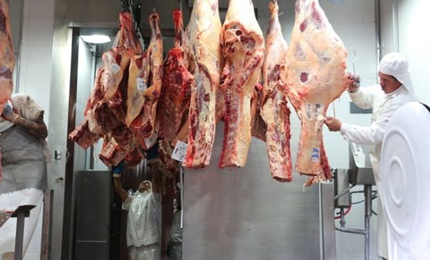 El sector carne, uno de los rubros que más creció en exportaciones.